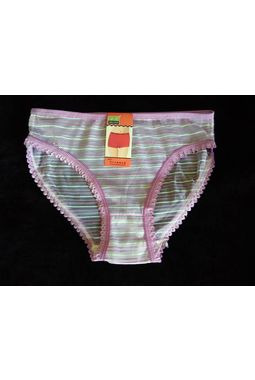 Full Transparent Microfiber Panty - JKNEPPANTY, lavender, free  30-34 waist 