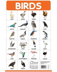 My First Early Learning Educational poster: Birds