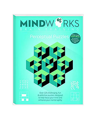 Mindworks Brain Training Series 1: Perceptual Puzzles