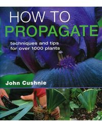 How To Propagate