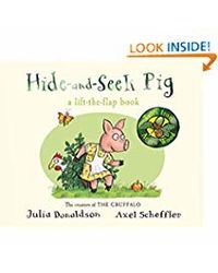Hide- And- Seek Pig