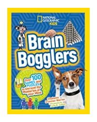 Brain Bogglers: Over 100 Games and Puzzles