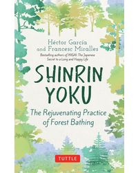Shinrin Yoku: The Rejuvenating Practice Of Forest Bathing