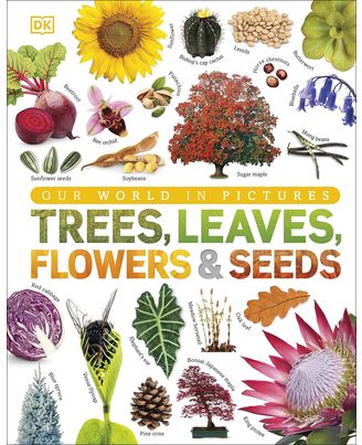 Our World in Pictures: Trees, Leaves, Flowers & Seeds: A visual encyclopedia of the plant kingdom