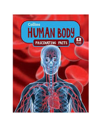 Human Body: Fascinating Facts