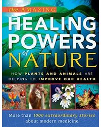 The Amazing Healing Power Of Nature