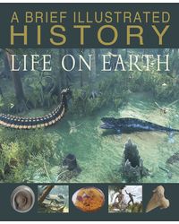 A Brief Illustrated History of Life on Earth