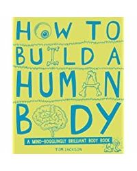 How to build a human body