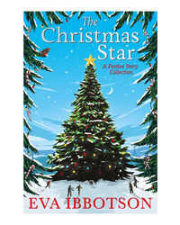 The Christmas Star: A Festive Story Collection