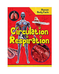Circulation And Respiration- Human Body Facts