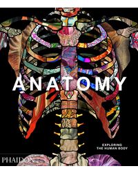 Anatomy: Exploring The Human Body
