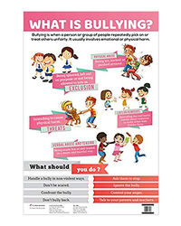 Charts: What Is Bullying?