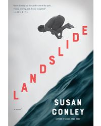 Landslide: A novel