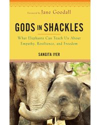 Gods in Shackles: What Elephants Can Teach Us About Empathy, Resilience, and Freedom