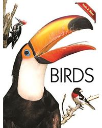 Facts and More: Birds- Vol. 140