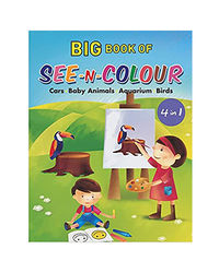 Big Book Of See N Colour (4 In 1)