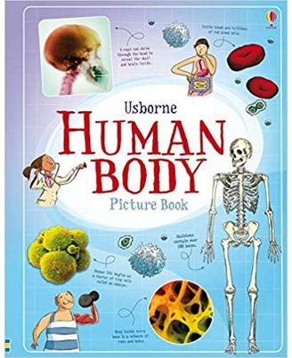 Human Body Picture Book
