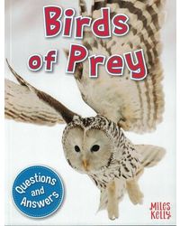 Questions And Answers Birds Of Prey