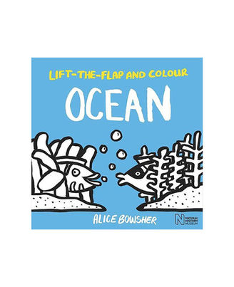 Lift The Flap & Color Book Pack: Lift The Flap And Colour Ocean+ Lift The Flaps+ Colour