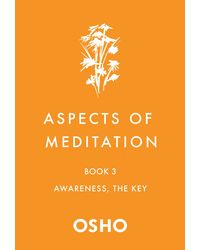 Aspects of Meditation Book 3, Awareness, The Key