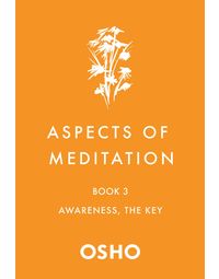 Aspects of Meditation Book 3, Awareness, The Key