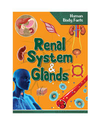 Human Body Facts: Renal System And Glands