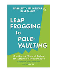 Leapfrogging To Pole- Vaulting: Creating The Magic Of Radical Yet Sustainable Transformation