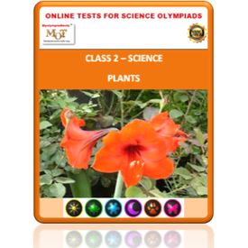 Class 2 Science Worksheets- Plants