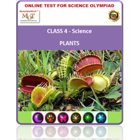 Class 4 Science worksheets- Plants