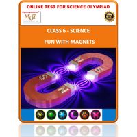 Class 6, Fun with magnets, Online test for Science Olympiad