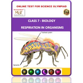 Class 7, Respiration in organisms, Online test for Science Olympiad