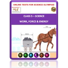 Class 5 Science Worksheets- Force and Energy