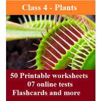30 Worksheets, 07 online tests and flashcards for Class 4 Science (Chapter: Plants)