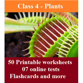30 Worksheets, 07 online tests and flashcards for Class 4 Science (Chapter: Plants)
