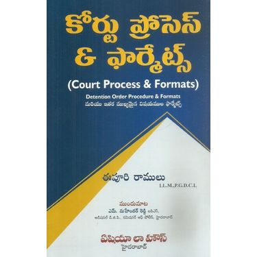 Court Process and Formats