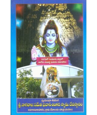 Sri Nagaraja Sameta Bhavani Shankara Swamy Devastanam