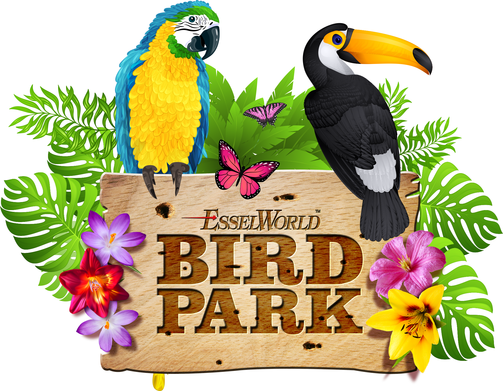 Bird Park. Логотип парка с туканом. Park Bird исполнитель. Секретный парк логотип.