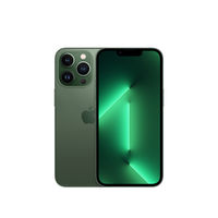 هاتف أبل أيفون 13 برو  الذكي 5G,  Alpine Green, 256 GB