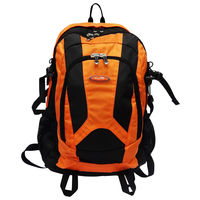 Rhysetta DBP-15 Backpack,  orange