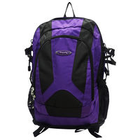 Rhysetta DBP-15 Backpack,  purple