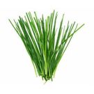 CHIVES HERBS PER BUNCH