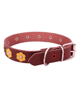 SRI Embellished Dog Collar Charm
