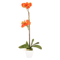 AW14 H631 J61705 Mtystique Flower Arrangement - @home By Nilkamal, Orange