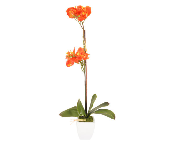 AW14 H631 J61705 Mtystique Flower Arrangement - @home By Nilkamal, Orange
