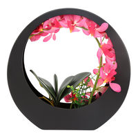 Pink Orchid Potted Plant in Black Red Frame - @home by Nilkamal