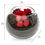 Flower Arrangement Bowl Glass Jar Red - @home Nilkamal