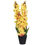 Forest Antirrihinum Plant Pot - @home By Nilkamal, Yellow