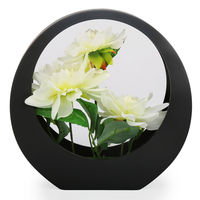 White Chrysnthemum Potted Plant in Black Red Frame - @home by Nilkamal