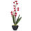Winter Collection Mtystique Flower Arrangement - @home By Nilkamal, White
