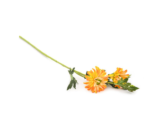 Gerbera 55 cm Flower Stick - @home by Nilkamal, Yellow